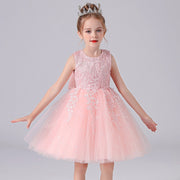 Pastel Color Princess Lace Dress
