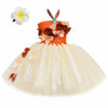 Girls Princess Tulle Dress – Cartoon Party Costume with Hairpin