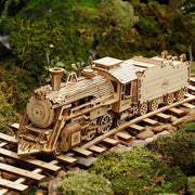 3D Wooden Model Kits