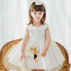 Baby Collar Sleeveless Fashion Elegant Silk Dress